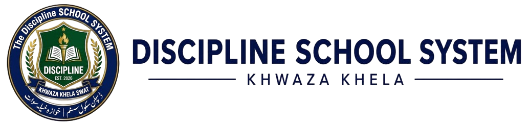 Discipline School System